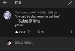 原神博主外网爆料视频,揭秘游戏新内容与未来走向