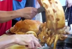 鱿鱼爆料视频,揭秘网络爆料背后的真相与争议