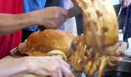 鱿鱼爆料视频,揭秘网络爆料背后的真相与争议