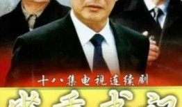 电视剧省委书记在线观看,权力与担当的抉择