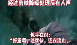 天涯爆料郑州事件视频,揭秘背后真相与争议