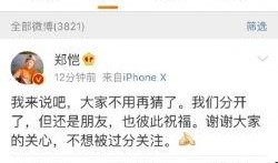 郑恺最新八卦爆料,揭秘明星背后的情感纠葛