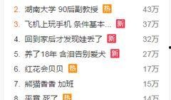 新闻爆料歌曲有哪些,哪些旋律引发热议？