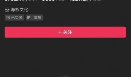 打造官爆料倪海杉视频,打造官爆料视频背后的真相与内幕