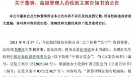 叶飞爆料公司名单最新,揭秘涉事公司名单背后的行业乱象