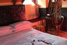 玫瑰旅店在线观看,浪漫邂逅，揭秘神秘爱情故事