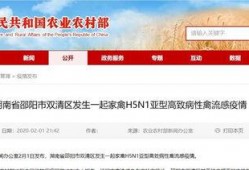 哪些新闻网可以爆料疫情