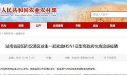 哪些新闻网可以爆料疫情