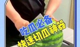 吃瓜拍照神器免费,轻松记录欢乐瞬间！