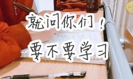 芒果爆料小女孩视频,萌娃视频引网友热议，可爱瞬间萌化人心