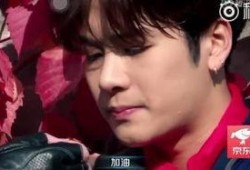 吃瓜娱乐圈王嘉尔是谁啊