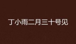 二月三十在线观看,揭秘二月三十神秘现象