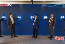 江苏老板爆料新闻视频,揭秘企业内幕，行业乱象引发关注