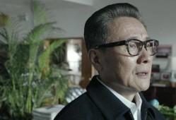 电视剧省委书记在线观看,权力与担当的抉择