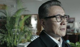 电视剧省委书记在线观看,权力与担当的抉择