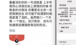 ai董小姐最新爆料,最新爆料背后的科技风云