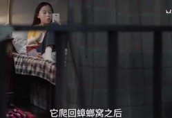 光洙姐姐爆料视频大全最新