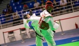 跆拳道腿法爆料视频大全,视频大全深度解析