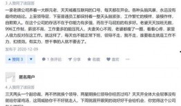 再来人留学爆料视频全集,视频全集深度解析