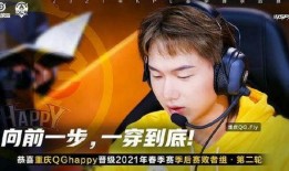 大鹅爆料文哥是真的吗视频,文哥真相揭秘，视频揭示惊人内幕