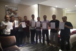 沈阳网友爆料新闻,惊现神秘事件，真相令人震惊！