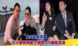 张兰爆料派对视频播放在线观看,揭秘豪门背后的奢华生活