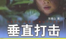 垂直打击在线观看,震撼视听的在线观看盛宴
