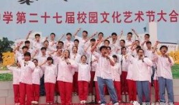 平阳中学最新爆料,揭秘校园风云背后的故事