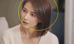 老杨爆料第七集视频播放,揭秘幕后真相，精彩内容抢先看