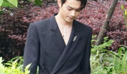 许凯最新爆料动态,揭秘演艺圈幕后真相