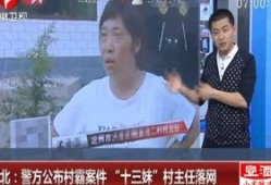 十三妹最新爆料新闻,揭秘娱乐圈最新劲爆新闻