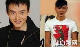 男明星娱乐圈热点爆料,揭秘男明星背后的惊人真相