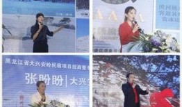 揭阳最新爆料新闻报道,揭秘背后惊人真相！