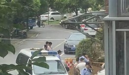 网友爆料小区事件视频,邻里纠纷引热议