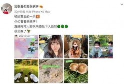 张子萱事件爆料文字视频,揭秘背后真相与舆论风暴
