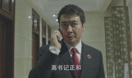 电视剧省委书记在线观看,权力与担当的抉择