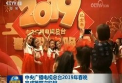 春晚彩排爆料视频完整版,精彩瞬间与幕后花絮大曝光