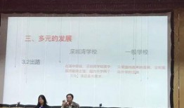 深圳南山武先生最新爆料,揭秘南山神秘事件真相