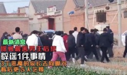 邯郸事件的最近爆料新闻,真相逐渐浮出水面