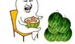 娱乐正能量吃瓜,娱乐正能量，带你领略明星们的甜蜜瞬间