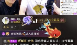 小五爆料宇哥视频播放网站,揭秘热门视频背后的秘密