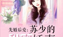 苏栀恋综吃瓜小说免费,瓜田李下，甜蜜瓜果的秘密