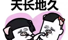 吃瓜娱乐图片搞笑头像,搞笑头像中的吃瓜娱乐瞬间