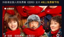 囧妈西瓜在线观看,在线观看，笑料横生的欢乐之旅