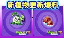 最新 植物爆料视频大全,最新爆料视频大全揭秘大自然奥秘