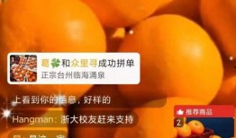 爆橘在线观看,揭秘热门视频背后的魅力与热度