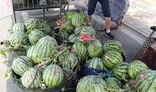 莱阳网红吃瓜事件,一场网络狂欢背后的真相与反思