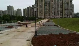 武汉汤逊湖最新爆料