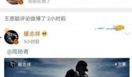 网红王大炮吃瓜事件网址,揭秘网红圈内的最新风波