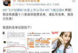 叶飞爆料公司名单最新,揭秘涉事公司名单背后的行业乱象
